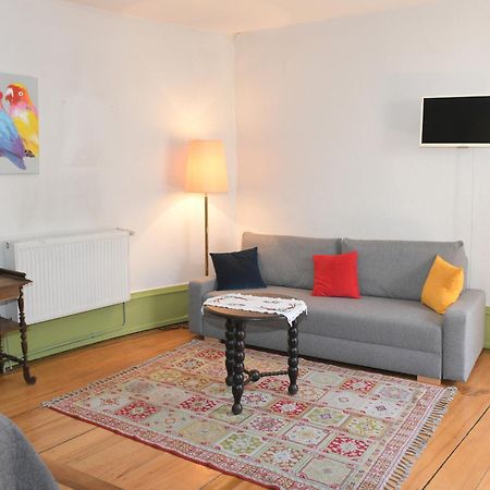 Chez Cecile Bed And Breakfast Chez Le Vigneron コルマール 部屋 写真