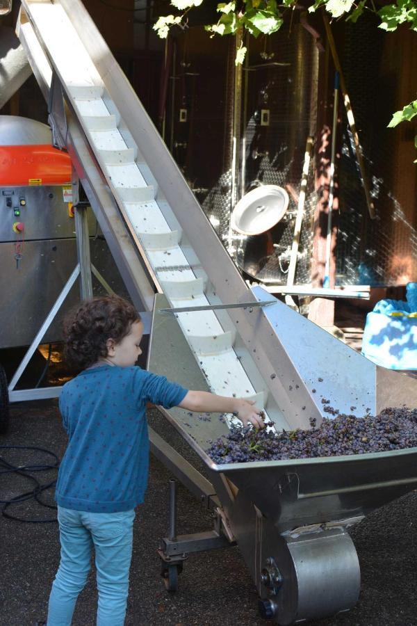 Chez Cecile Bed And Breakfast Chez Le Vigneron コルマール エクステリア 写真