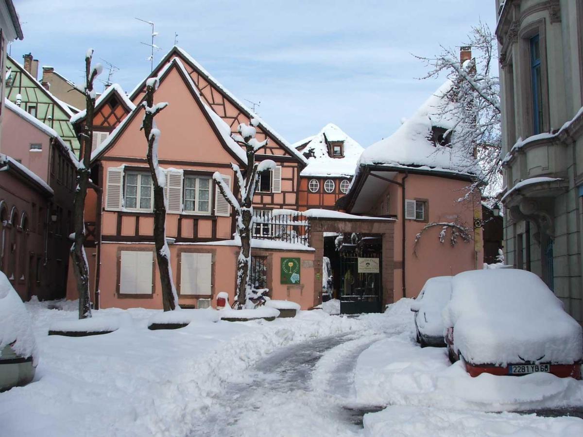 Chez Cecile Bed And Breakfast Chez Le Vigneron コルマール エクステリア 写真