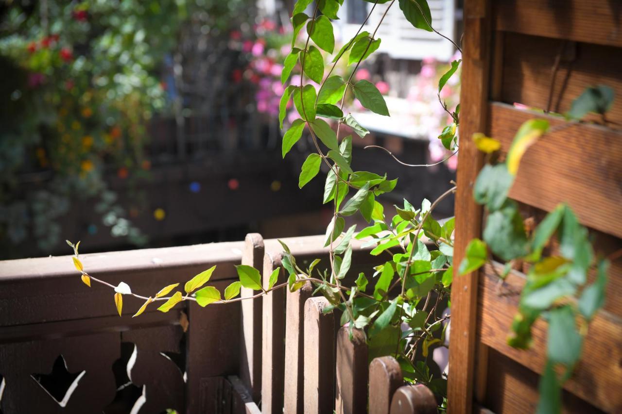 Chez Cecile Bed And Breakfast Chez Le Vigneron コルマール エクステリア 写真