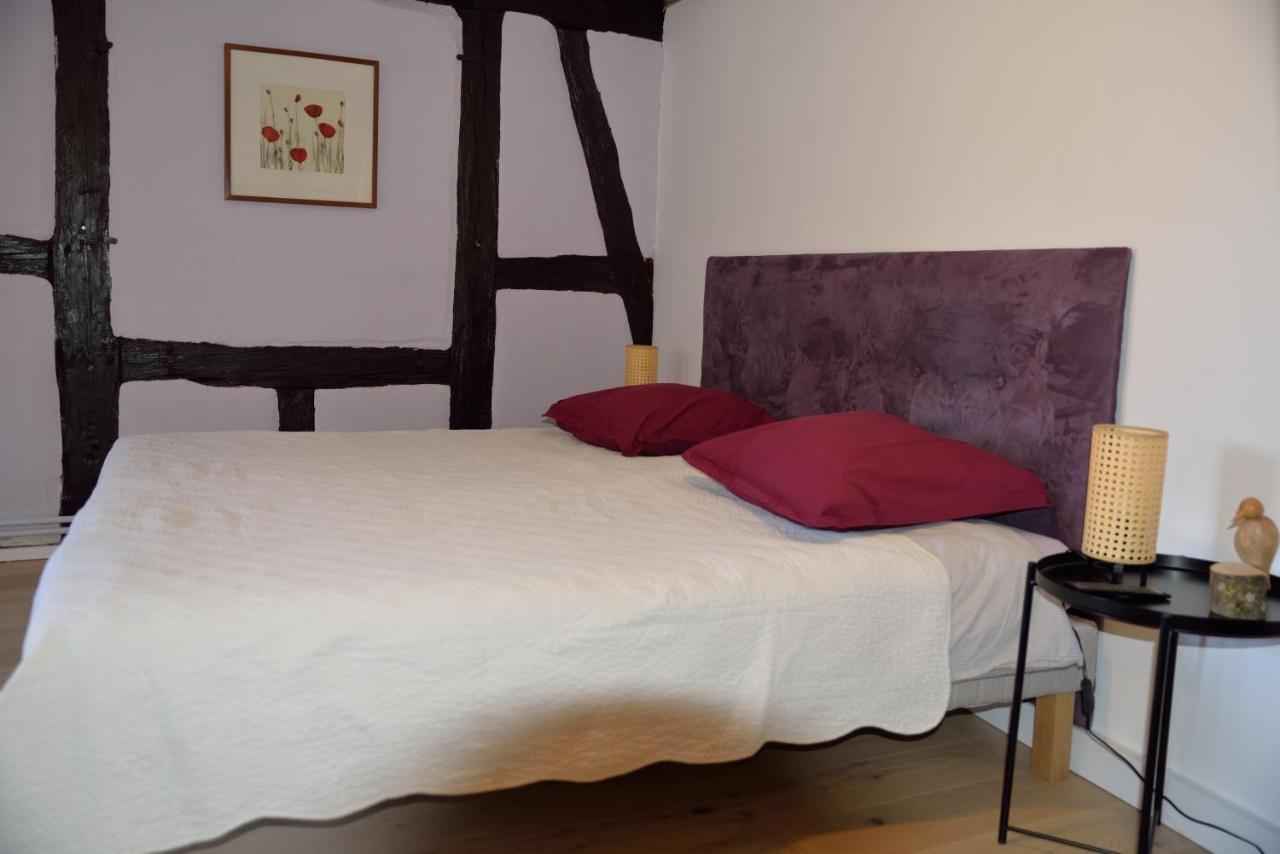 Chez Cecile Bed And Breakfast Chez Le Vigneron コルマール エクステリア 写真